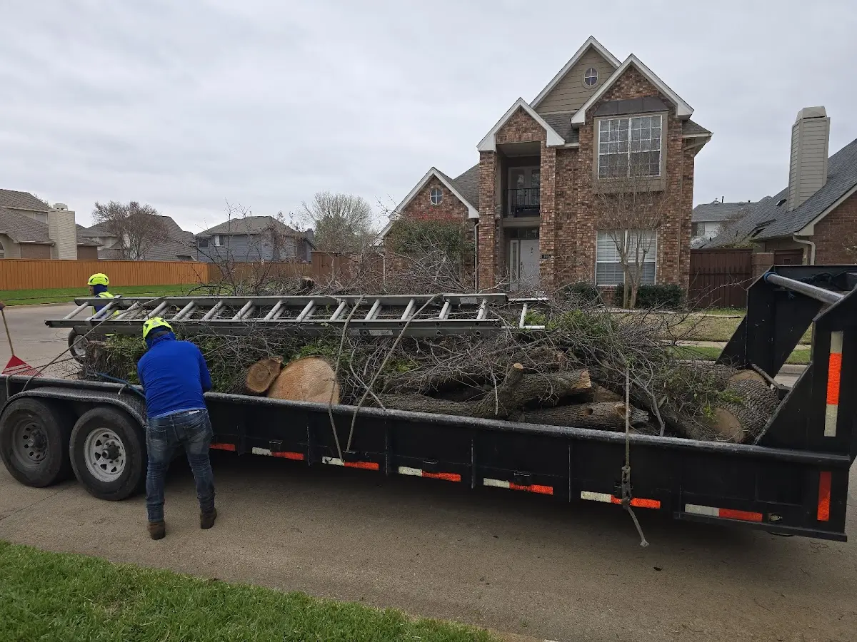 Expert Tree Fertilization with proper safety equipment in New Haven